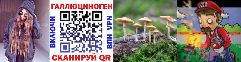 хочу   Сольцы  Псилоцибиновые грибы MAGIC MUSHROOMS 